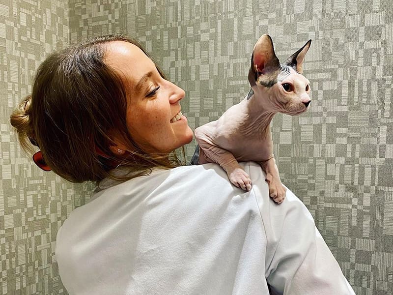 Doctor Holding Hairless Cat