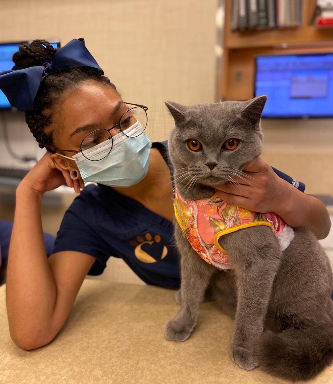 dog-and-cat-wellness-care-new-york-city dog and cat wellness care new york city