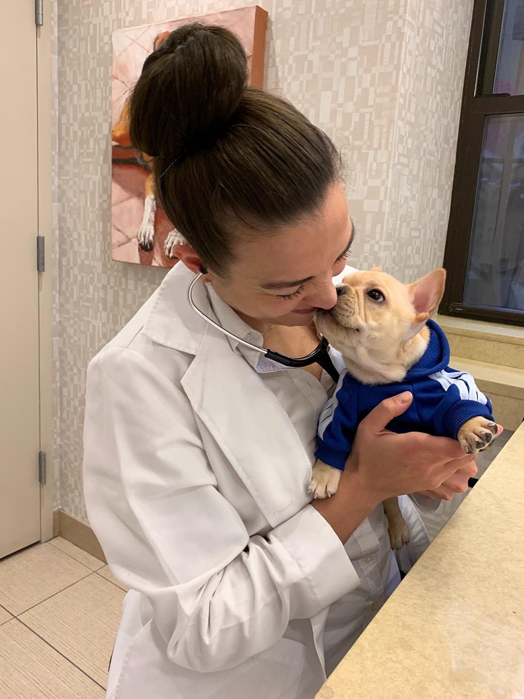 Young Dog Kissing Doctor Young Dog Kissing Doctor