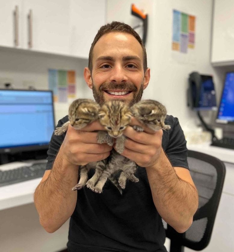 Adopt Adopt