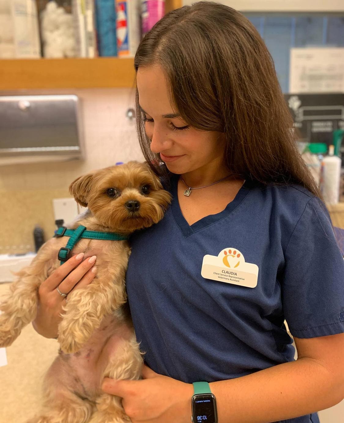 Vet Tech Holding Small Dog