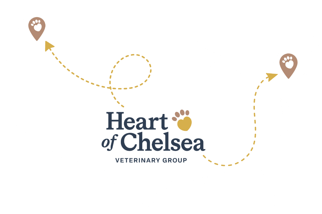 Hoc Location Us Map Only