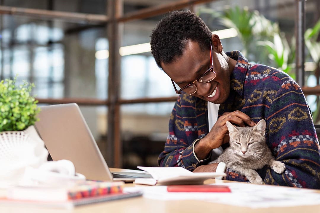 male wearing glasses sitting at a desk petting a gray cat