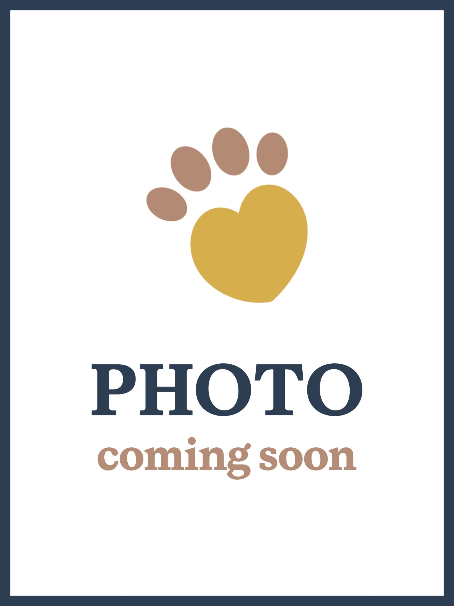 Hoc Bio Placeholder Rebranded